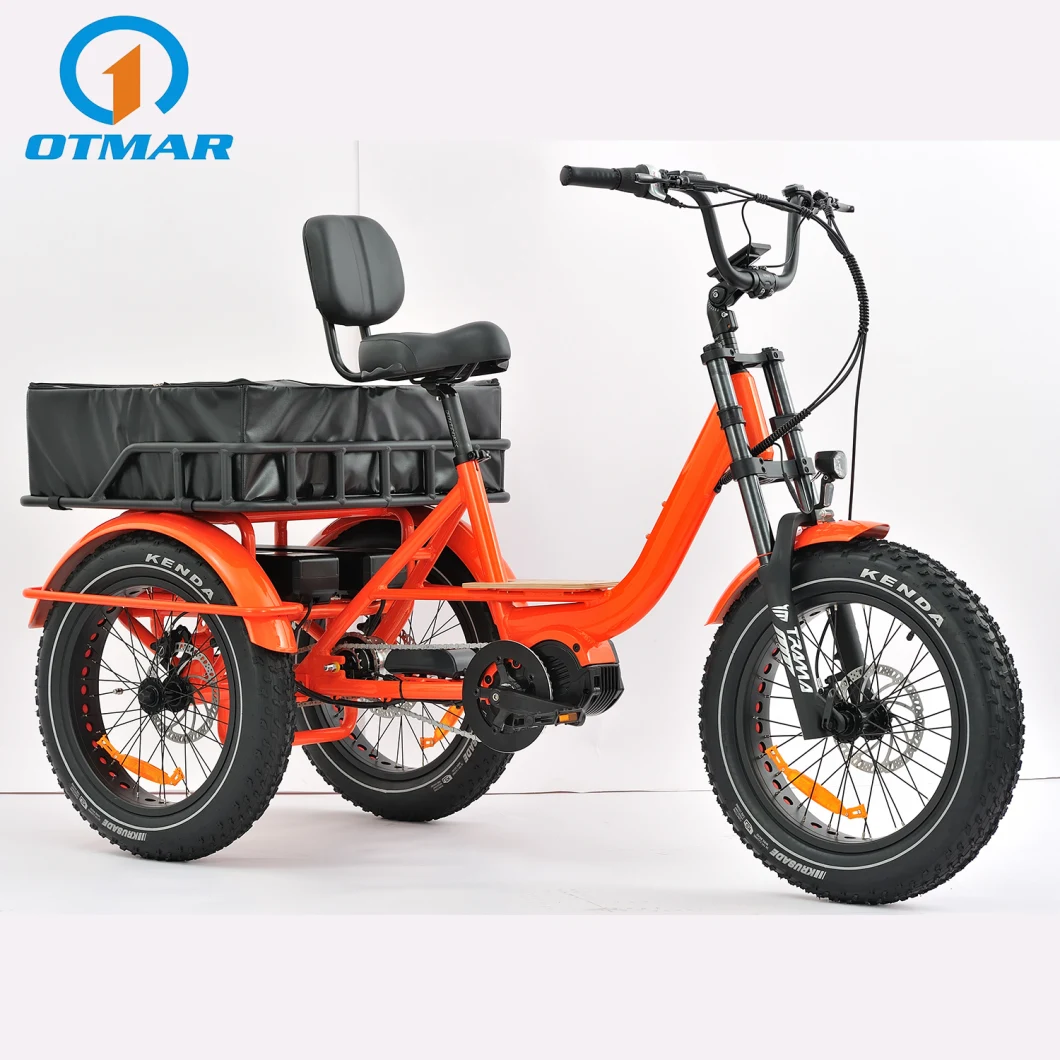 Cargo MID Motor High Power E Trike 3 Wheel Customized Adult Electric Tricycle