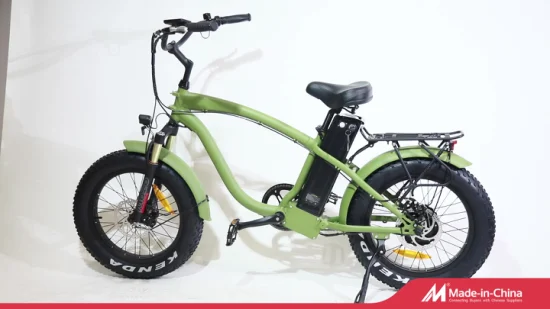 500W/750W Bafun Bafang Motor Fat Tire Mountain Bicicleta eléctrica al por mayor
