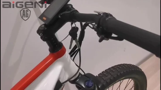 Bicicleta eléctrica con suspensión personalizada de 27,5 pulgadas, neumático gordo Ebike MTB